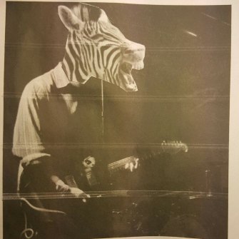 Zebrafi I am the Saviour