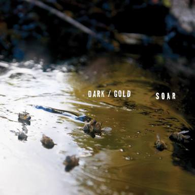 Soar band San Francisco dark/gold album review father/daughter records