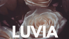 Luvia For You Soundcloud Stream My Little Empire Records