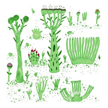 Plant Food Fox Food Records Bandcamp