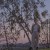 Hand Habits Can't Calm Down Placeholder Saddle Creek new music