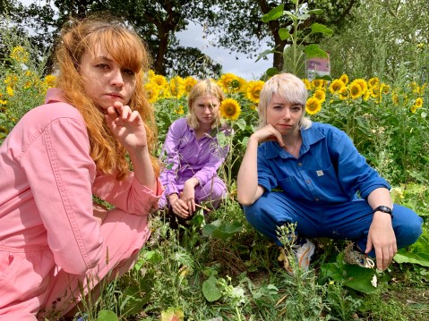 cheerbleederz - lobotany Alcopop Records