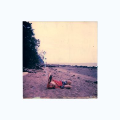 laughingstock bellingham washington state something lite single