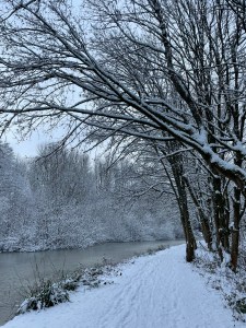 January 2021 Music releases Spotify playlist