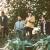 Bedrooms band Ireland Afterglow EP review