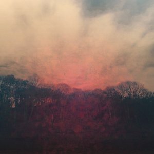 Good Good Blood Green Bank stream