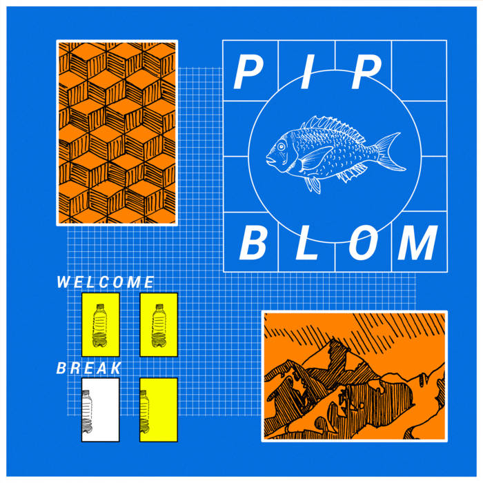Pip Blom Welcome Break album review Heavenly Recordings 2021