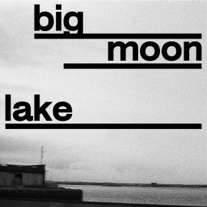 Life Big Moon Lake single stream