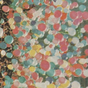 Cover artwork for Van Houten's The Tallest Room album