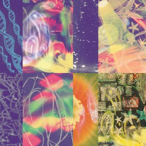 Nap Eyes The Neon Gate album review