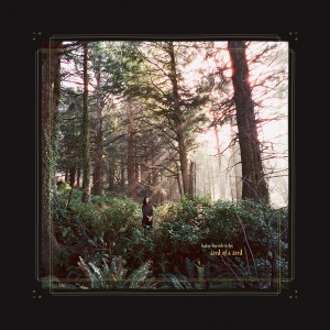 Haley Heynderickx Seed of a Seed album artwork