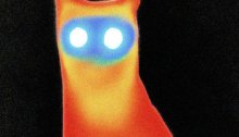 A cat in infra-red imagery. Basement's Wired album artwork