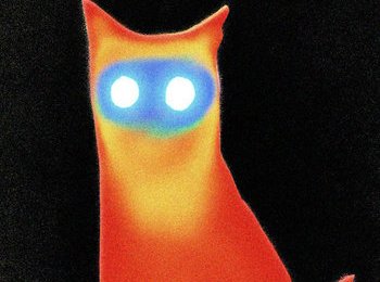 A cat in infra-red imagery. Basement's Wired album artwork