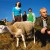 Jawdropped band photo